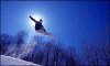 snowboard7.gif (33601 octets)