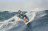 Surfj.jpg (38382 octets)