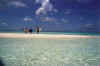 maldives3.jpg (13022 octets)